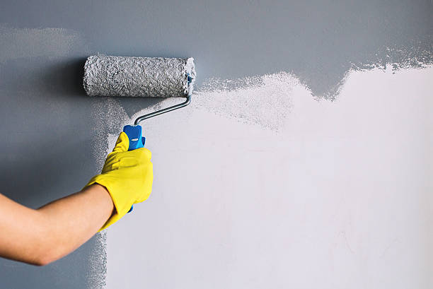 Learn How Overland Park Painting Contractors Can Add Value to Your Property